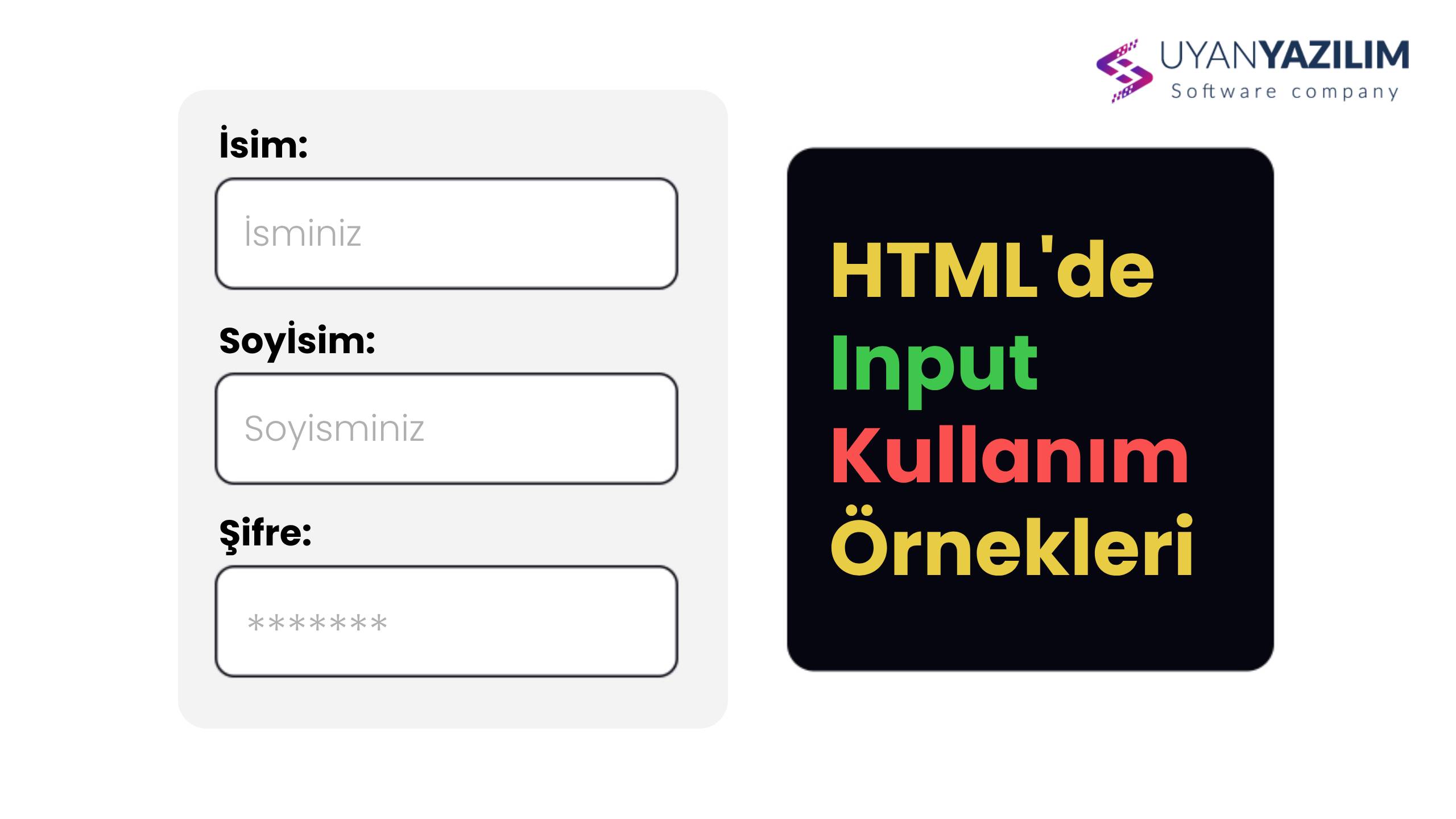 HTML'de Input Kullanım Örnekleri